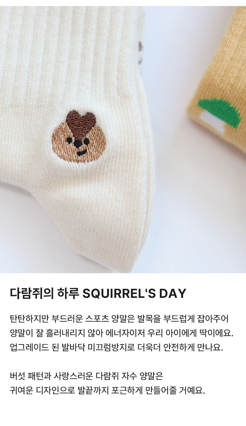 [Ankle] SQUIRREL'S DAY 2 pairs 1 SET